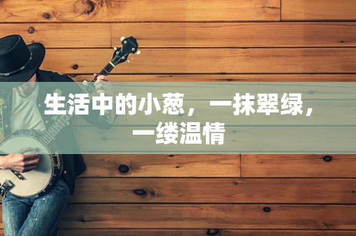 生活中的小葱，一抹翠绿，一缕温情