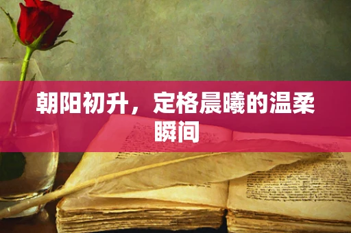 朝阳初升，定格晨曦的温柔瞬间