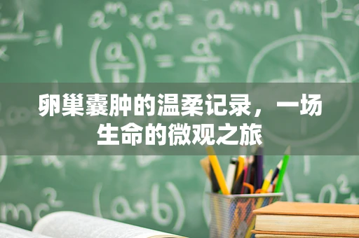卵巢囊肿的温柔记录，一场生命的微观之旅