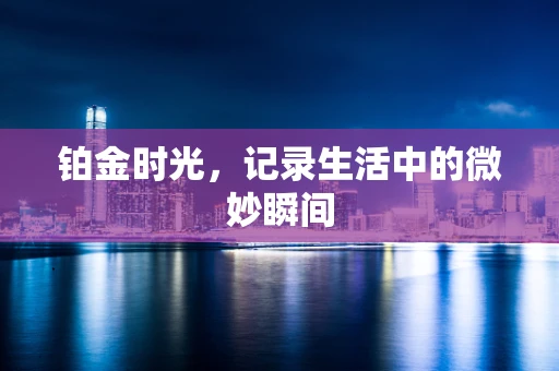 铂金时光，记录生活中的微妙瞬间