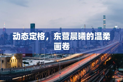 动态定格，东营晨曦的温柔画卷