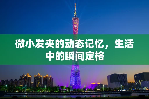 微小发夹的动态记忆，生活中的瞬间定格
