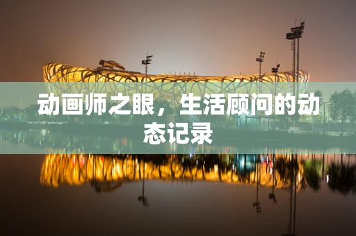 动画师之眼，生活顾问的动态记录