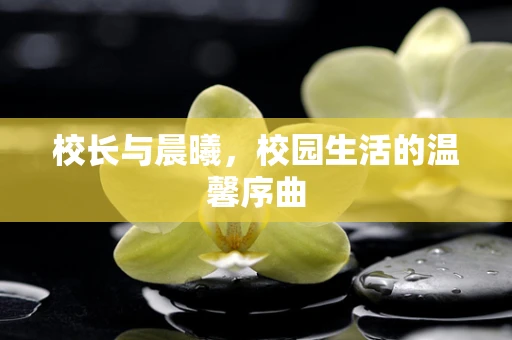校长与晨曦，校园生活的温馨序曲