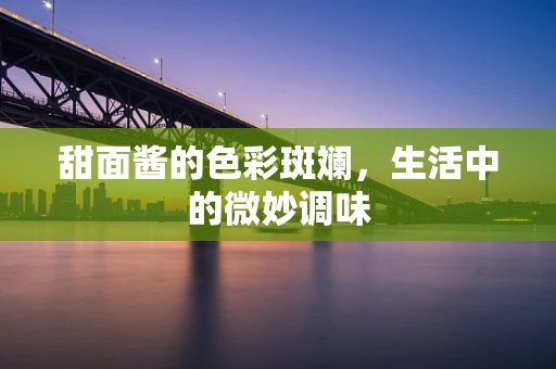 甜面酱的色彩斑斓，生活中的微妙调味