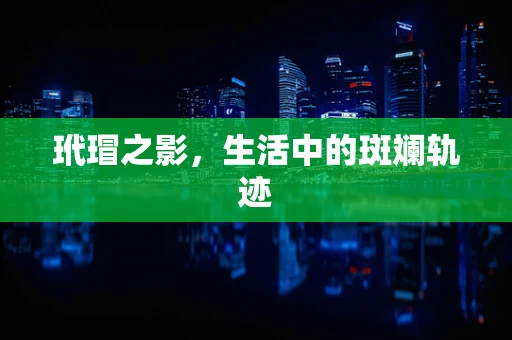 玳瑁之影，生活中的斑斓轨迹
