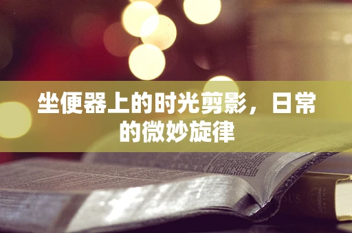 坐便器上的时光剪影，日常的微妙旋律