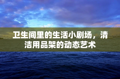 卫生间里的生活小剧场，清洁用品架的动态艺术