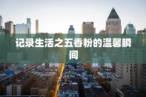 记录生活之五香粉的温馨瞬间