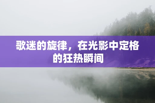 歌迷的旋律，在光影中定格的狂热瞬间