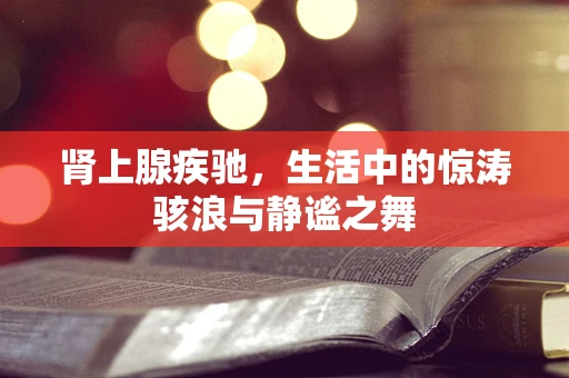 肾上腺疾驰，生活中的惊涛骇浪与静谧之舞