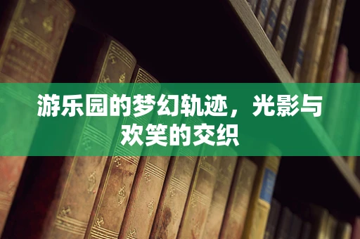 游乐园的梦幻轨迹，光影与欢笑的交织