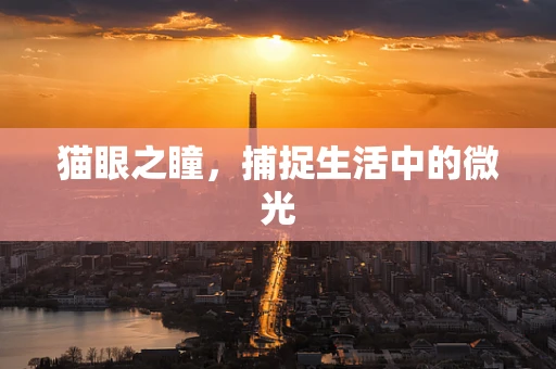 猫眼之瞳，捕捉生活中的微光