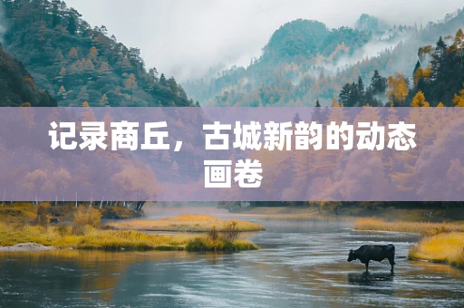 记录商丘，古城新韵的动态画卷