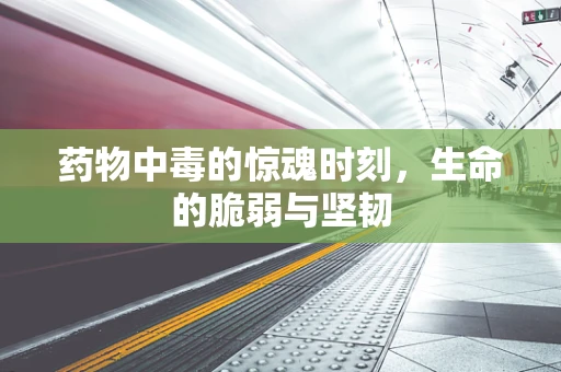 药物中毒的惊魂时刻，生命的脆弱与坚韧