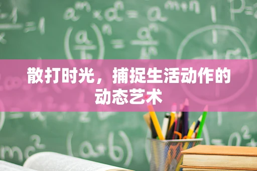 散打时光，捕捉生活动作的动态艺术