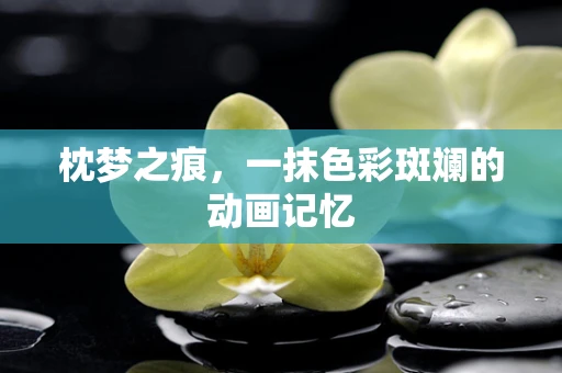 枕梦之痕，一抹色彩斑斓的动画记忆