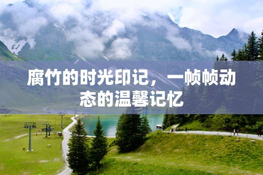 腐竹的时光印记，一帧帧动态的温馨记忆