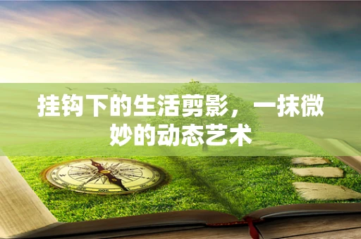 挂钩下的生活剪影，一抹微妙的动态艺术
