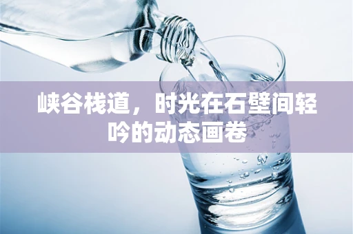 峡谷栈道，时光在石壁间轻吟的动态画卷