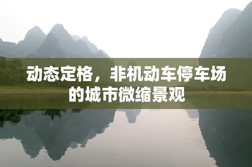动态定格，非机动车停车场的城市微缩景观