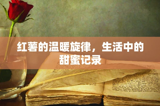 红薯的温暖旋律，生活中的甜蜜记录