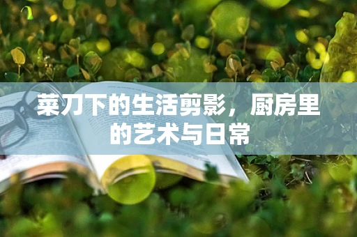 菜刀下的生活剪影，厨房里的艺术与日常