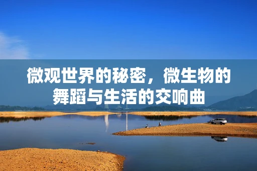 微观世界的秘密，微生物的舞蹈与生活的交响曲