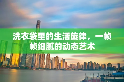 洗衣袋里的生活旋律，一帧帧细腻的动态艺术