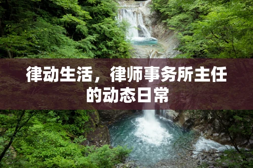 律动生活，律师事务所主任的动态日常