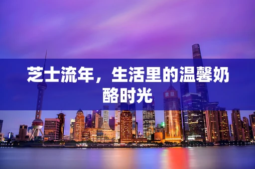 芝士流年，生活里的温馨奶酪时光