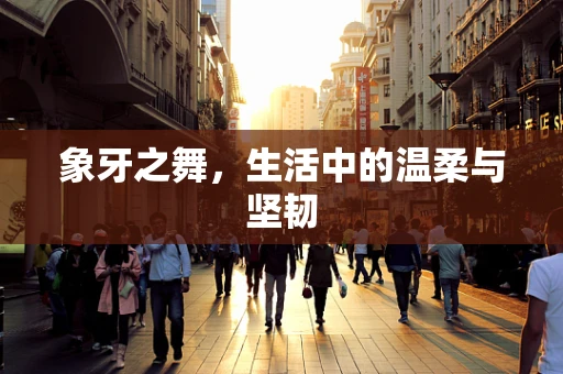 象牙之舞，生活中的温柔与坚韧
