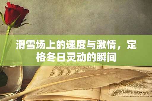 滑雪场上的速度与激情，定格冬日灵动的瞬间