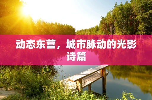 动态东营，城市脉动的光影诗篇