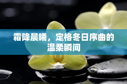 霜降晨曦，定格冬日序曲的温柔瞬间