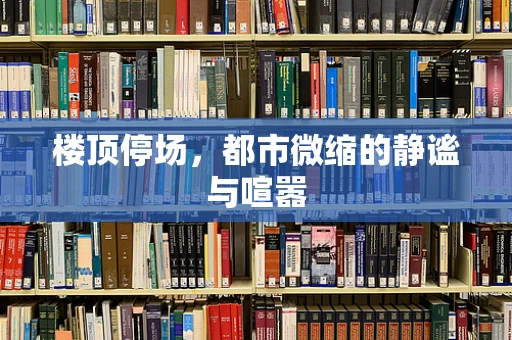 楼顶停场，都市微缩的静谧与喧嚣