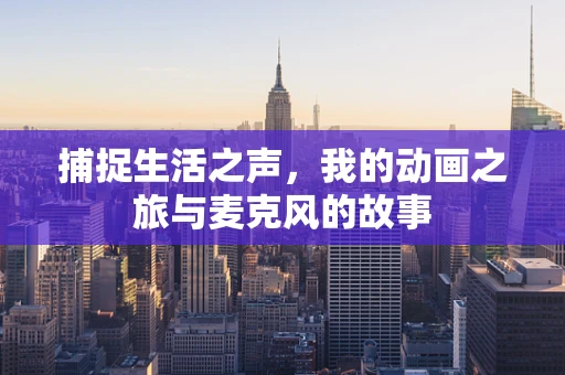 捕捉生活之声，我的动画之旅与麦克风的故事