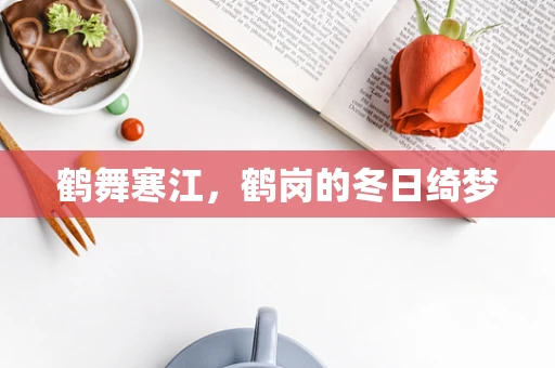 鹤舞寒江，鹤岗的冬日绮梦