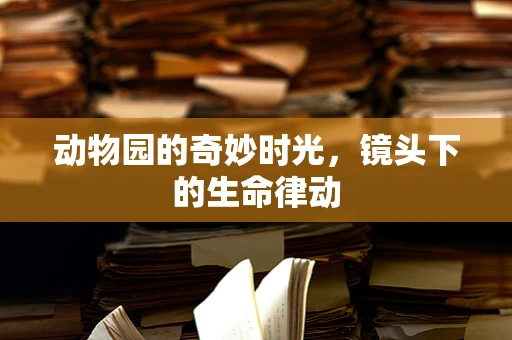 动物园的奇妙时光，镜头下的生命律动