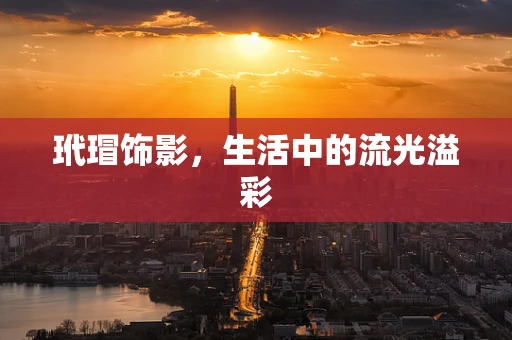 玳瑁饰影，生活中的流光溢彩