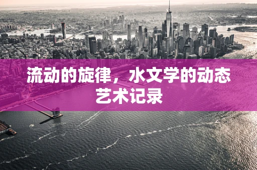 流动的旋律，水文学的动态艺术记录