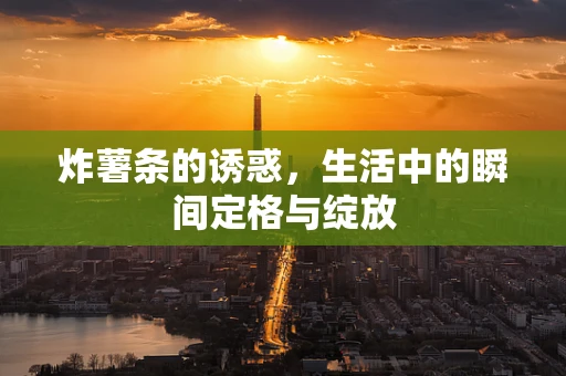 炸薯条的诱惑，生活中的瞬间定格与绽放