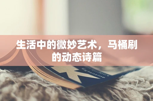生活中的微妙艺术，马桶刷的动态诗篇
