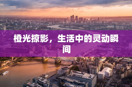 橙光掠影，生活中的灵动瞬间