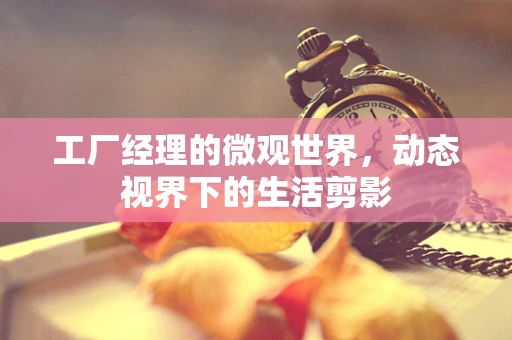 工厂经理的微观世界，动态视界下的生活剪影
