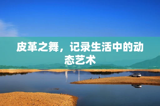 皮革之舞，记录生活中的动态艺术