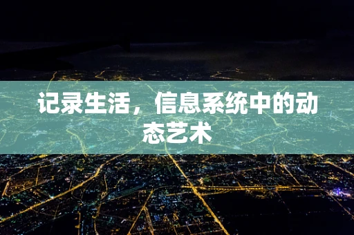 记录生活，信息系统中的动态艺术