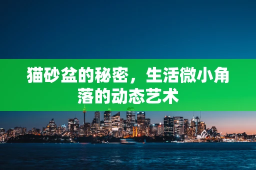 猫砂盆的秘密，生活微小角落的动态艺术