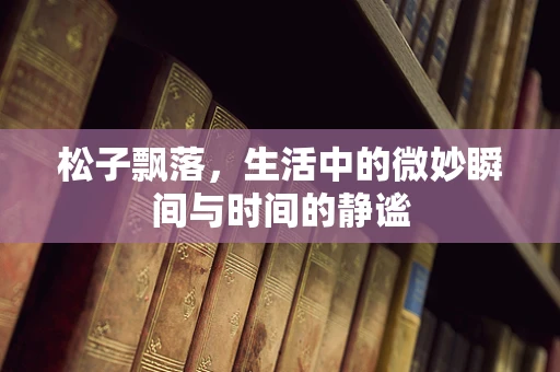 松子飘落，生活中的微妙瞬间与时间的静谧