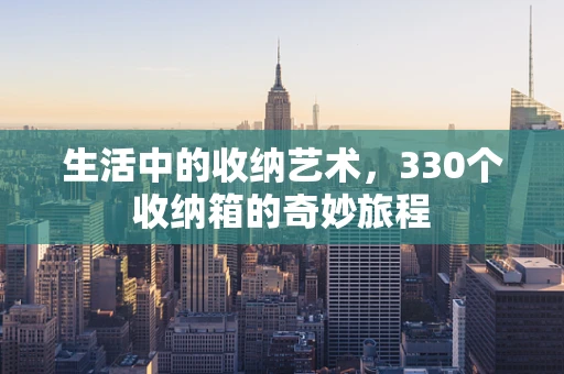 生活中的收纳艺术，330个收纳箱的奇妙旅程